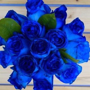 Meet your Posher, Joy